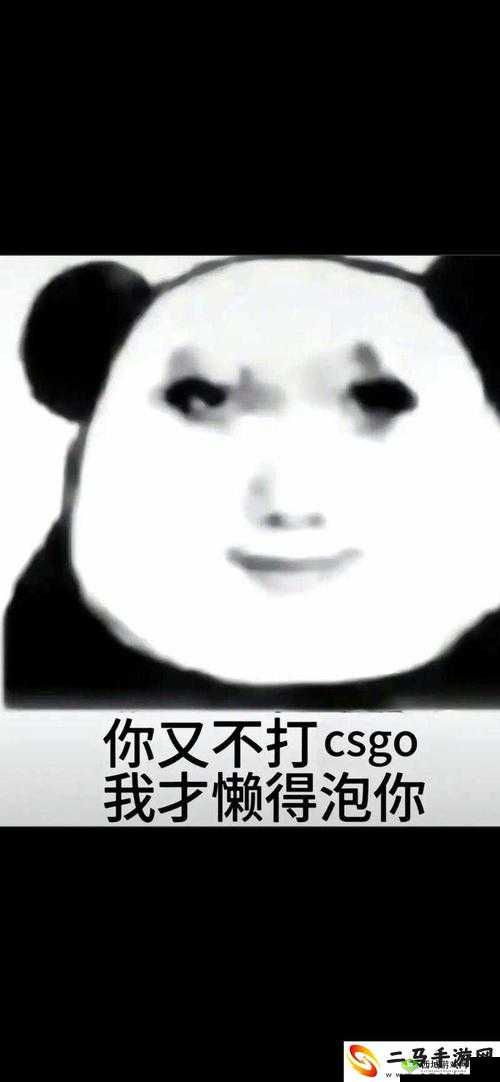 暴躁老姐的CSGO心得分享一百块就能注册:让你轻松入场