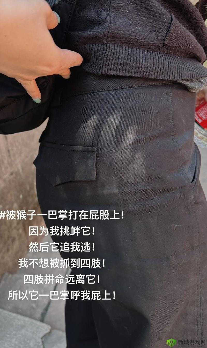 按在怀里打巴掌打到哭:这样的行为究竟意味着什么