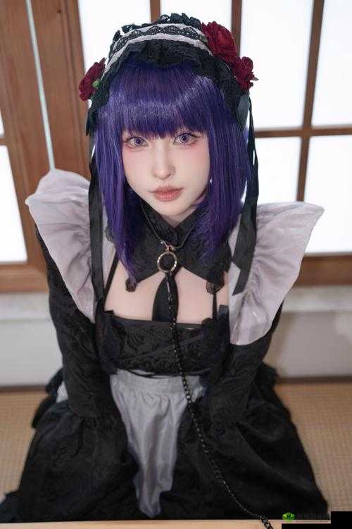 国外黄冈网站推广:开启学习新境界