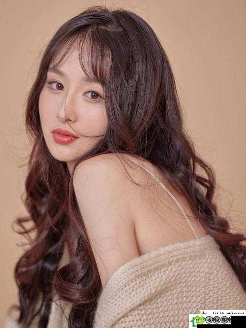 合家欢下册公交车:一段充满欢乐与惊喜的城市之旅