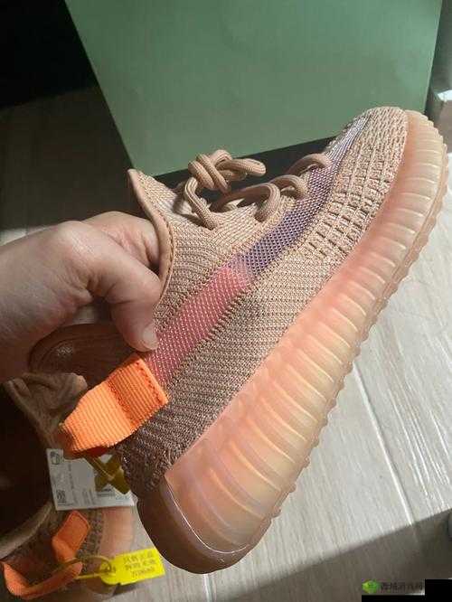 yeezy 亚洲限定美洲限定谁更具魅力引发的时尚探讨