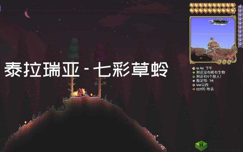 泰拉瑞亚七彩草蛉,探索与捕捉的奇妙之旅