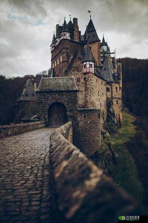 德国大 8BW 德国大 8Bw:探索未知的神秘世界