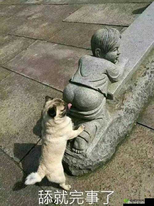 嗟嗟嗟在线观看：一部不容错过的精彩影片