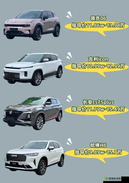 国产 SUV 精品一区二：引领国产 SUV 品质新高度