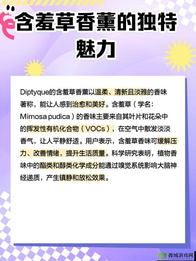diptyque 含羞草香薰:带你领略独特的芬芳魅力体验