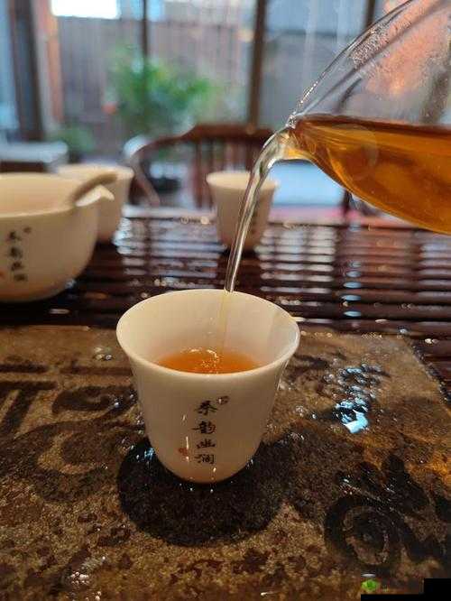 温茶 poH :品味茶香中的宁静与惬意