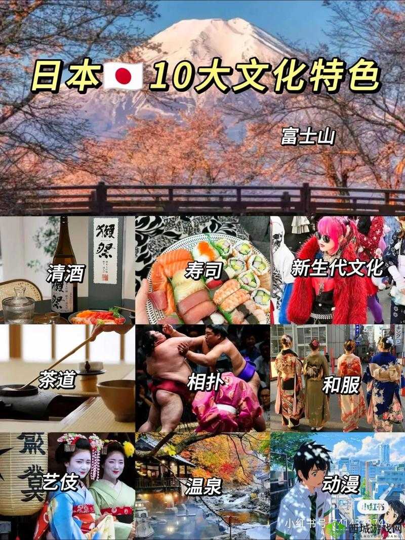 日本最大但人文艺术欣赏的背景:深度探寻其独特魅力与价值