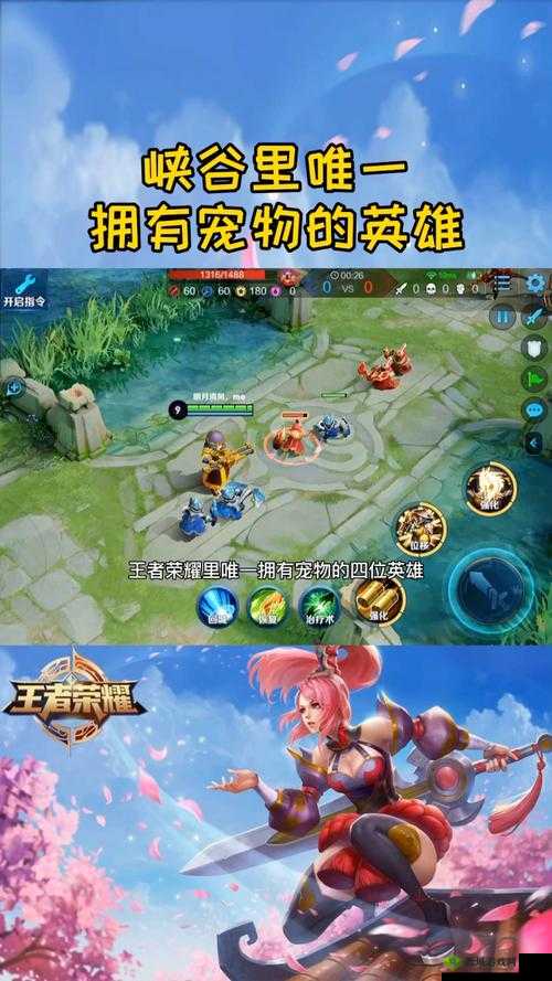 关键词,王者荣耀中的宠物系统探索