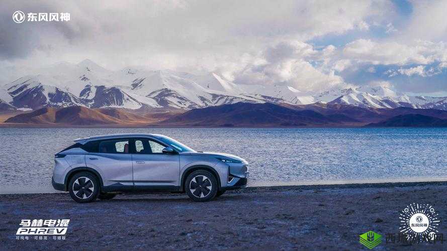 粗糙国产无人区码suv:关于其性能与特点的全面分析