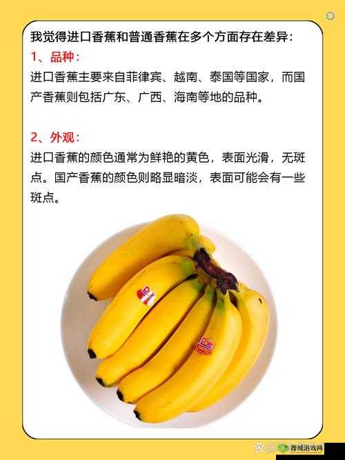 国产香蕉和进口香蕉价格比较:哪款更适合你的钱包?