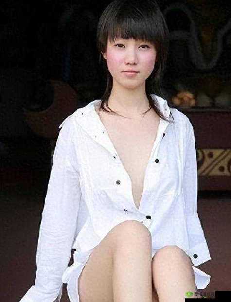 张雨欣人文艺术欣赏 PPT:一场触动心灵的美学之旅