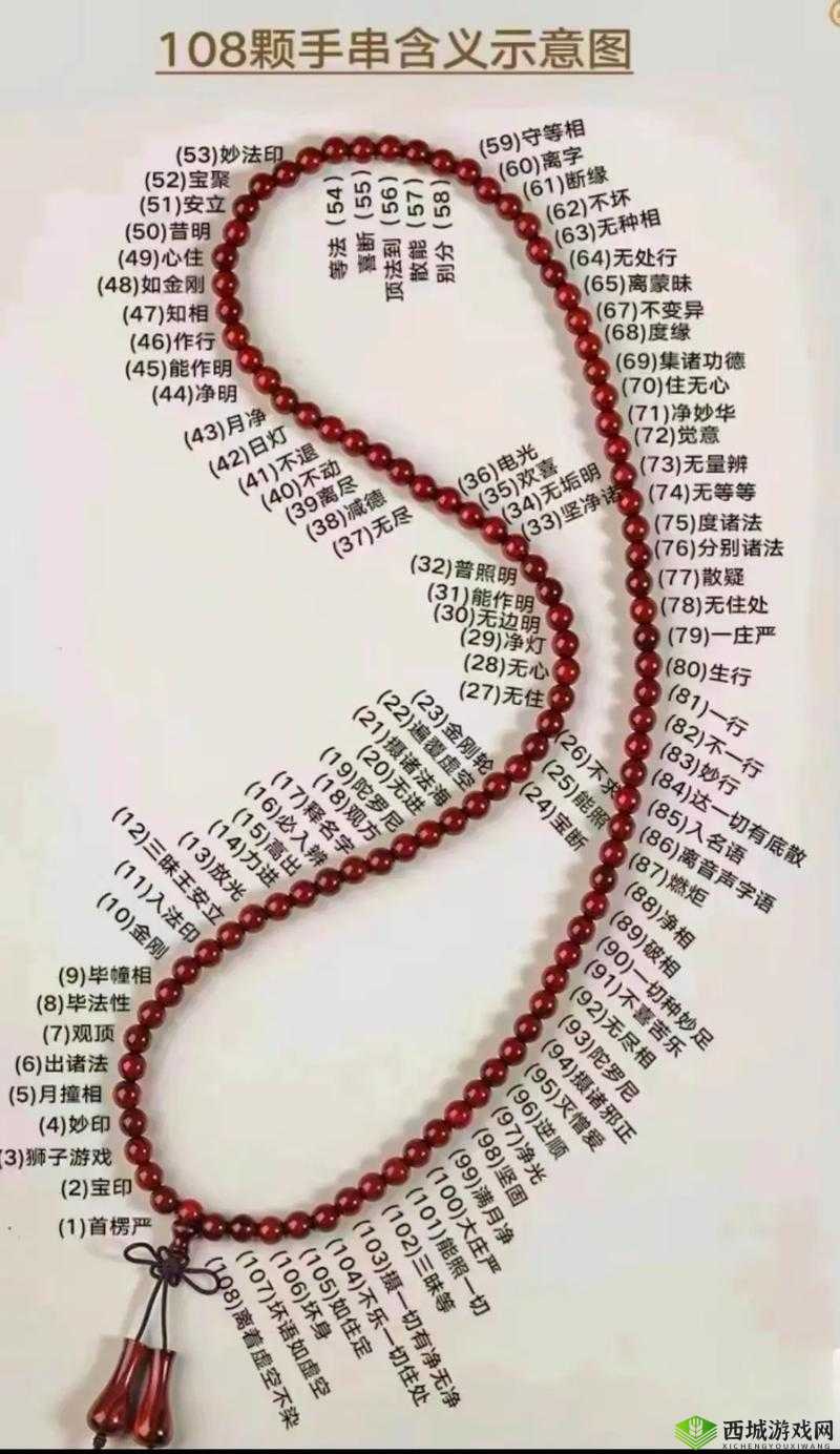 看你能塞多少佛珠啊:探究佛珠数量背后的意义与文化内涵