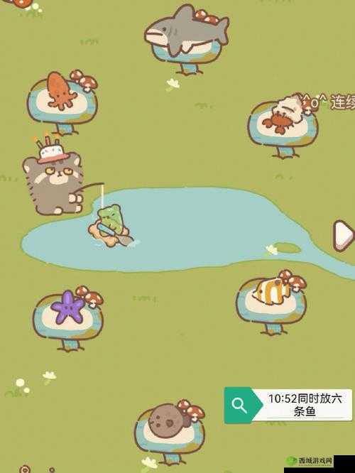 动物餐厅墨鱼，美味与神秘并存的海中精灵