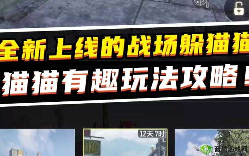 使命召唤躲猫猫模式攻略，资源管理的艺术