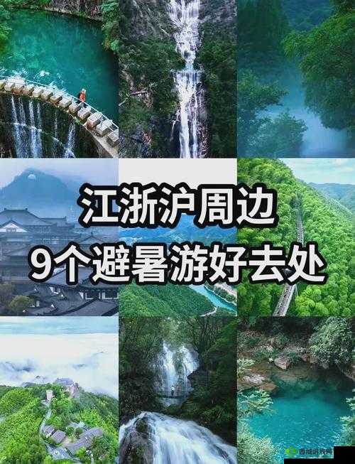 如何进入伊春园 2023:详细步骤及注意事项全解析