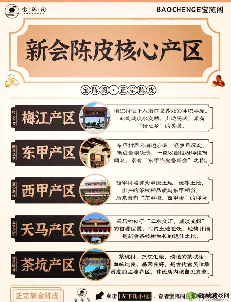 麻豆一二三产区区别:探究不同产区的特色与差异