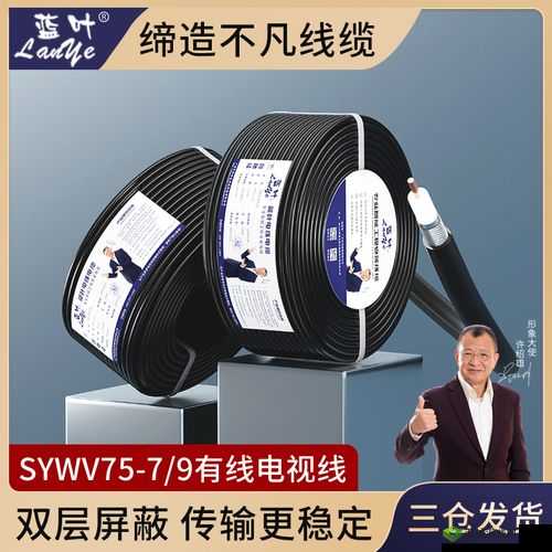 有线高清电视线 SYWV75:优质传输性能与广泛应用解析