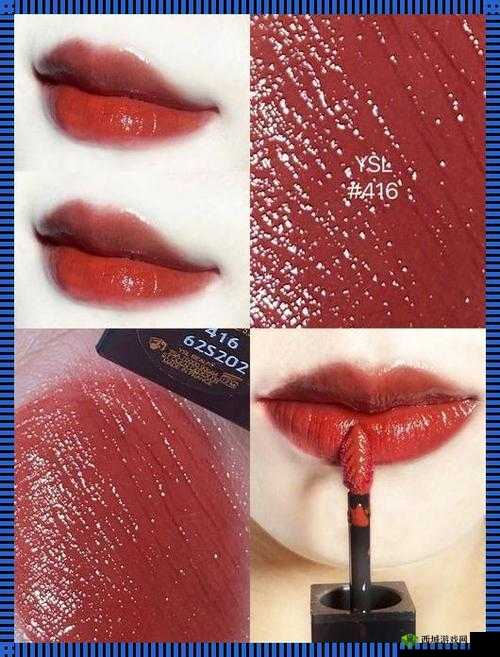 YSL 千人千色 T9T9T9T9MBA :魅力绽放的美妆传奇