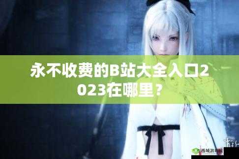 b 站大全永不收费 2023 入口在哪里?据说可以搜索资源:资源搜索神器