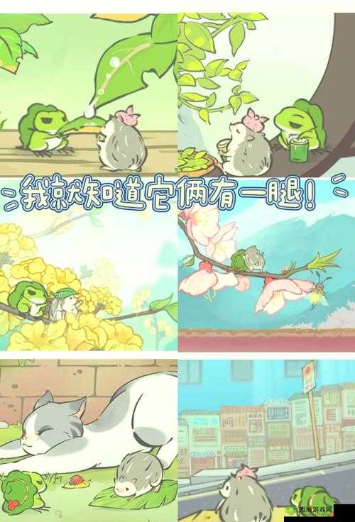 旅行青蛙中国之旅护身符用处介绍,资源管理的艺术