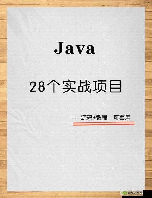 JavaGenericVisitorAdapter使用技巧详解:全面深度剖析与实战指南