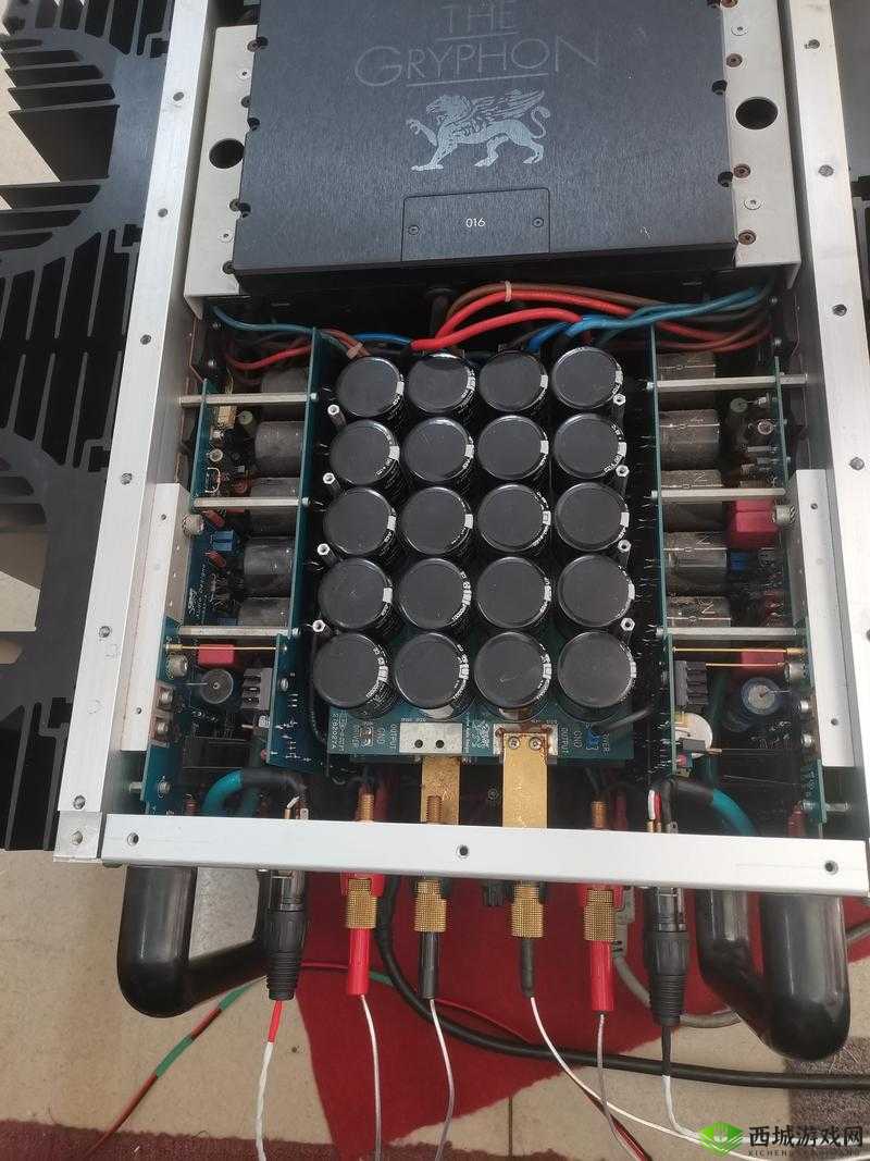 贵丰大菠萝 805D4:一款备受瞩目的高端音响设备