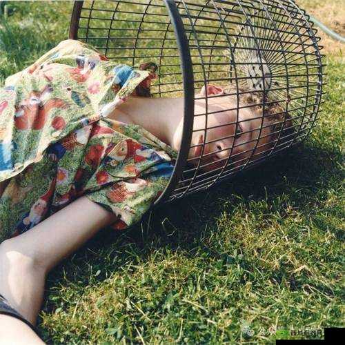 体内㓔精 69XXXXXx 精油:探索未知的私密世界