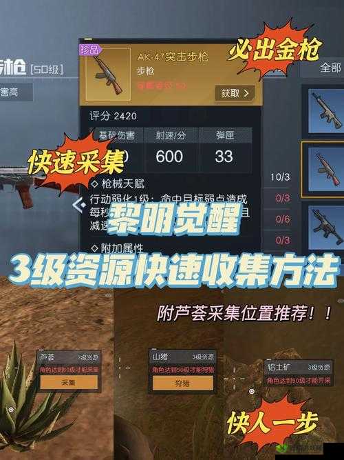 黎明觉醒升级玩法攻略,资源管理的艺术