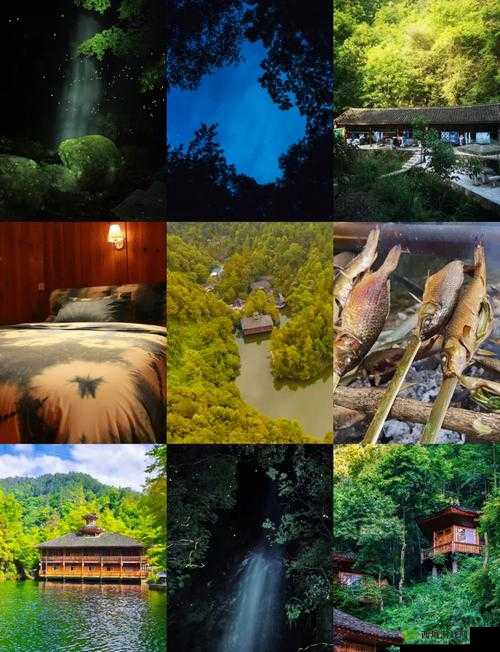 花之语,剑之舞,与萤火虫的奇妙邂逅