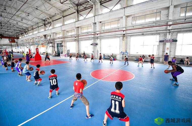 以篮球队的公共玩具为中心:篮球引发的激烈竞争