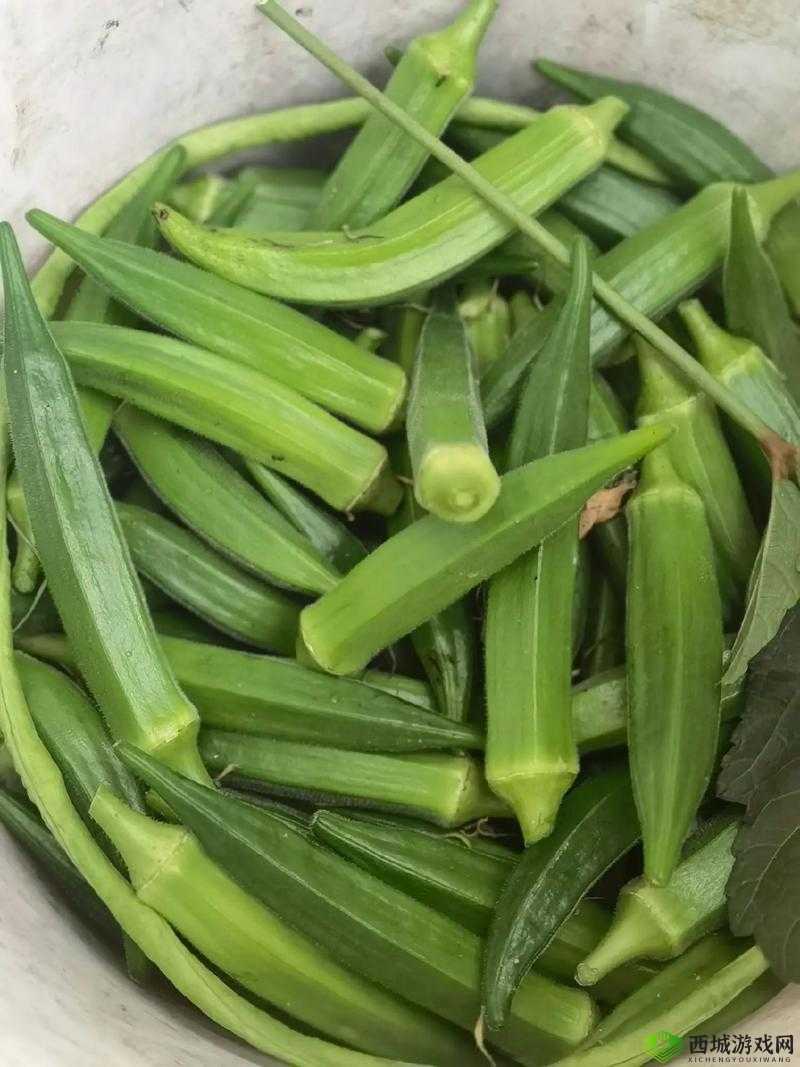 污榴莲香蕉秋葵黄瓜草莓超多观看功能可调节:一场视觉盛宴等你来探索