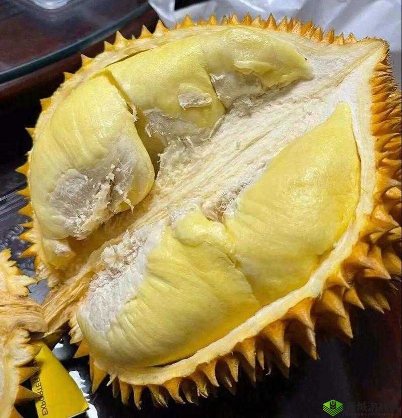 榴莲香蕉苹果哈密瓜水蜜桃:甜蜜水果的多彩盛宴