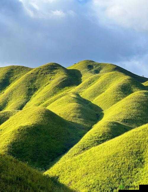 中国 Windows 野外:探索自然的绝佳之地