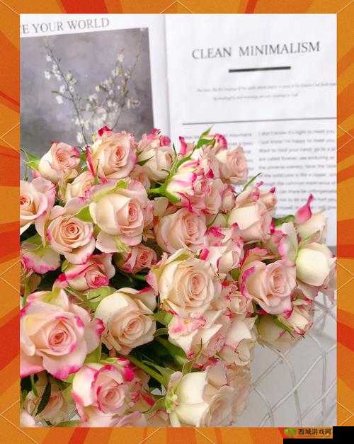 你是玫瑰 1V1:一场关于爱的浪漫之旅