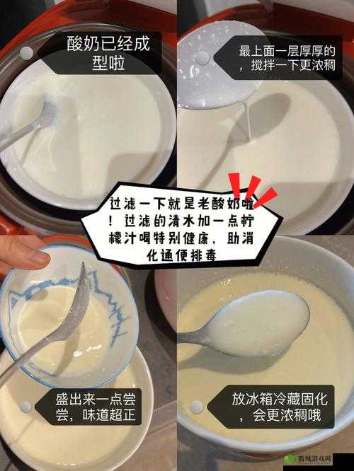 你的鲍鱼里会有别人的酸奶吗：探寻其中隐藏的秘密