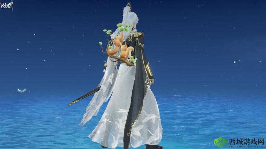 花与剑里的浪漫密码,定情物功能全揭秘