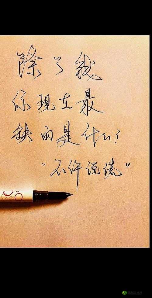 除了填的很满是什么感觉之外,中不许有其他文字