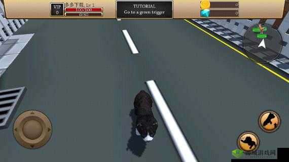 美国ZOOM 动物仙踪林介绍:探索神奇动物世界的奇妙之旅