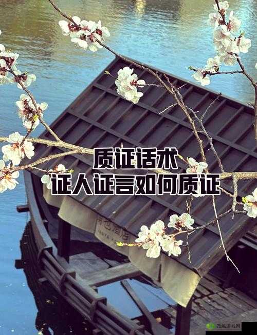 揭开谜团，以关键词为核心的风闻与证词证据解析