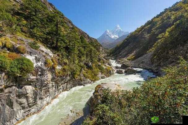 非洲 BBOOMBBOOM 最简单解释:带你深入了解其独特魅力