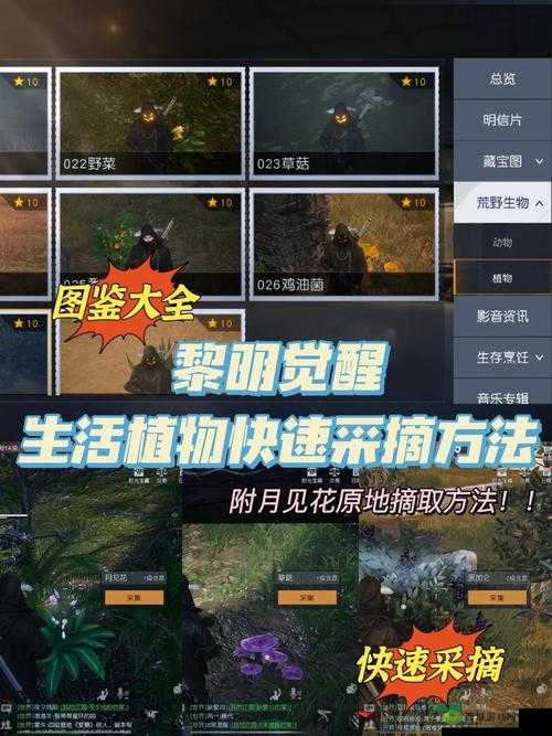 探秘黎明觉醒，西佛的遗产与未解之谜