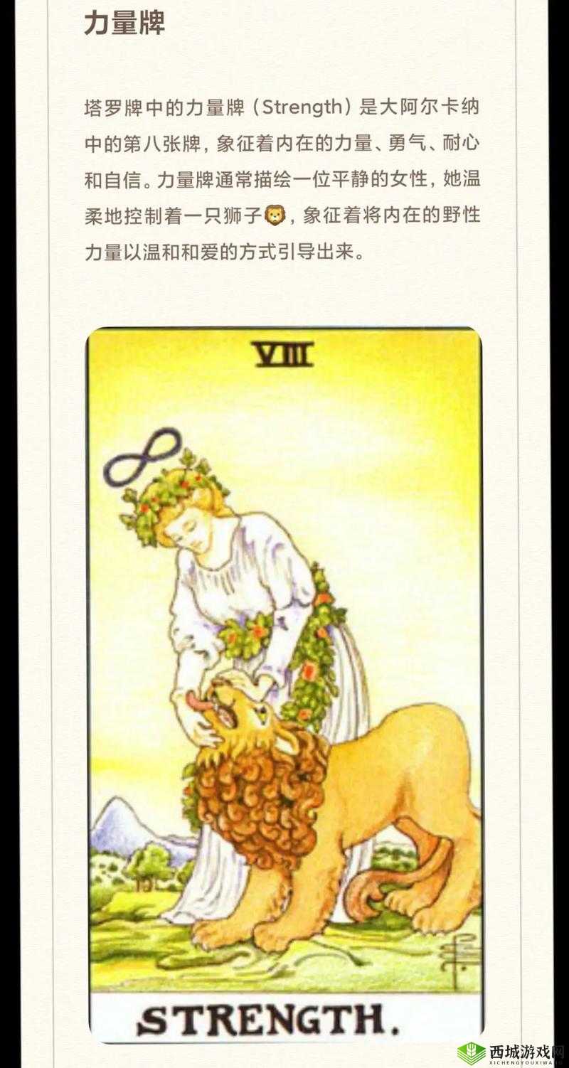 永远的七日之都，塔罗牌守护的奥秘与力量