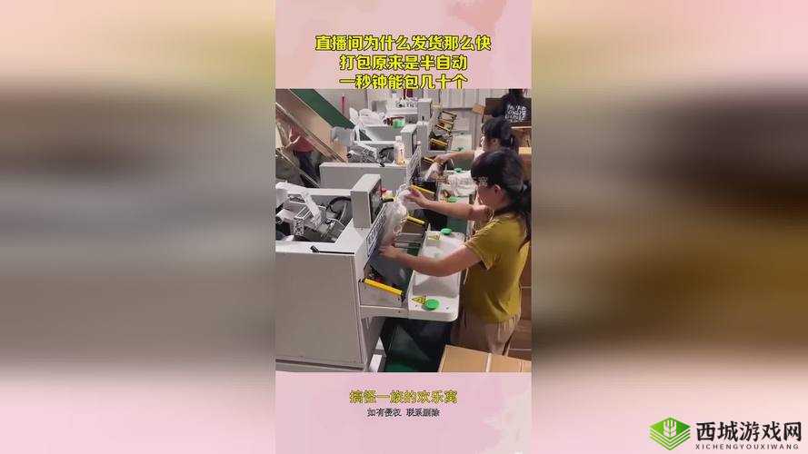 X7X7X7 任意噪 2024 的技术参数和实际应用效果如何:深度解析与评估