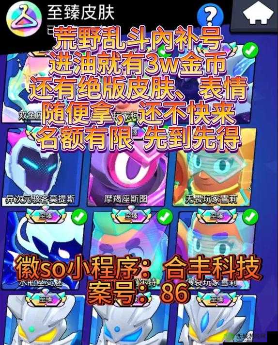 荒野乱斗Max使用技巧,速度与策略的完美融合