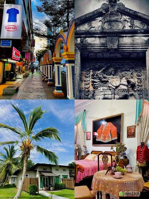 欧美XXXX:探索其独特文化与艺术魅力的深度之旅