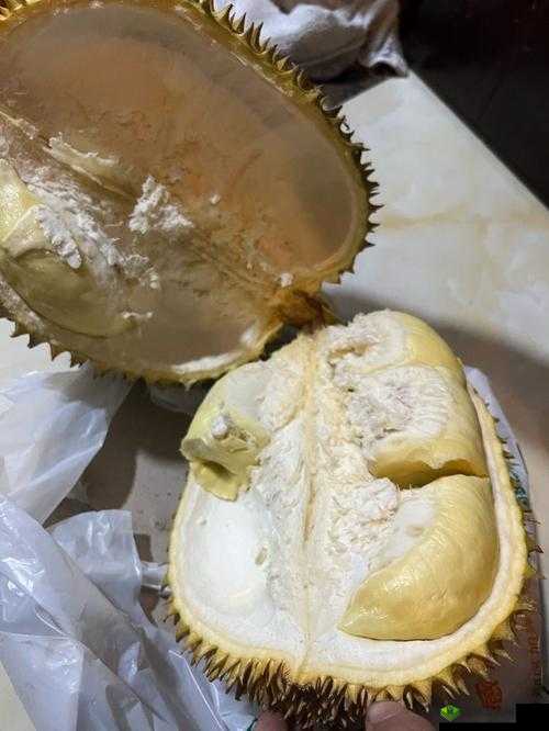 lll.999 榴莲视频：精彩内容等您来探索发现