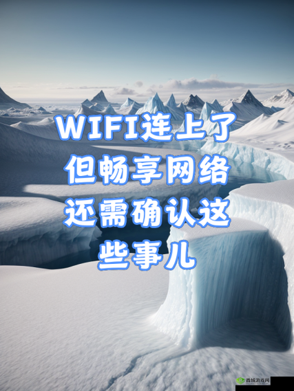 51 外网：畅享网络世界的精彩与便捷