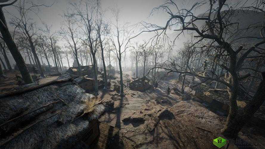 俄罗斯乂乂乂 HD:揭秘神秘历史文化