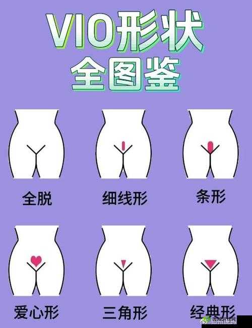 女性私密视频:探索禁忌背后的真相